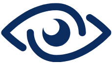 Vision Icon